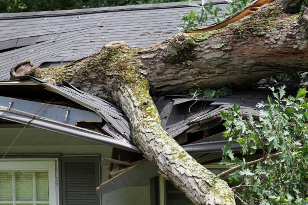 Emergency Roof Damage Services Emergency Roof Damage Services